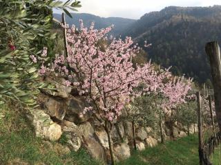 Biohof Niedereben - Rablà - 8