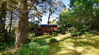 Santosha Glade near the Everglades - Leura - 8