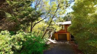 Santosha Glade near the Everglades - Leura - 0