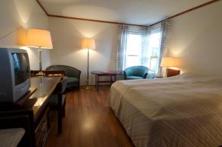 Dæli Guesthouse - Víðidalstunga - 0