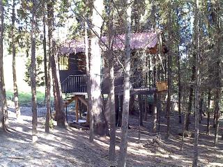 Casa En El Arbol - Pesca - 5