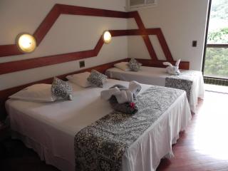 Serra Negra Paladium Hotel - Serra Negra - 1
