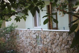 Cirali Hotel - Çıralı - 9