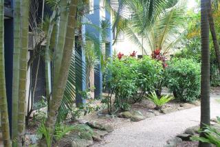 Bohemia Resort Cairns - Cairns - 7