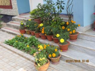 Happy Homes - Guwahati - 7