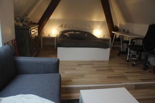 Appartement et gîte Chez l'Habitant - Guebwiller - 5