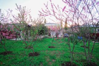 Green Garden Guest House - 3
