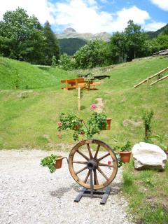 Maso Fior di Bosco - Val di Rabbi - Esercizio Rurale - Rabbi - 4