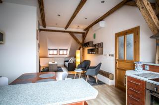 Tylova Apartments - Kutná Hora - 5