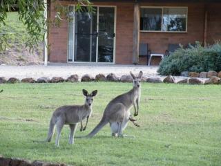 Rubyvale Motel & Holiday Units - An Adults Only Getaway - Rubyvale - 7
