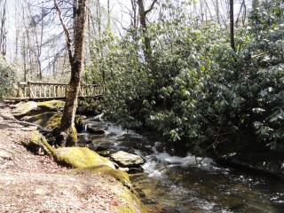 4 Seasons at Beech Mountain - Beech Mountain - 5