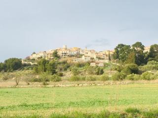 Gites Velaux Ecureuil et Pinède - Velaux - 8