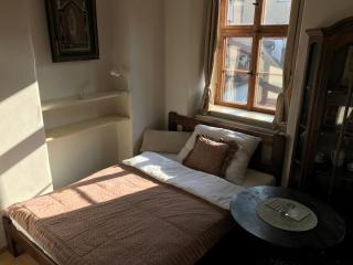 Queen Bee apartments - Praga - 8