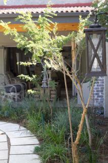 Veranda House Boutique Accommodation - Midrand - 9