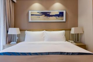 Savills Residence Daxin Shenzhen Bay - 1