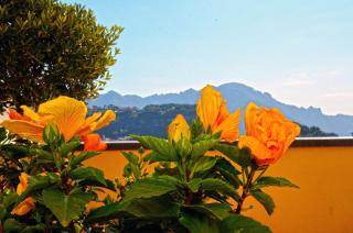Villa Maria - Amalfi - 6
