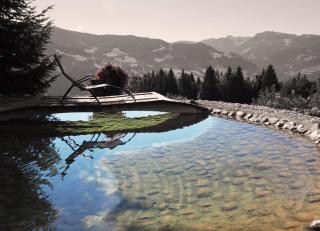 Hinterburgschwaig Hof - Sankt Johann im Pongau - 7