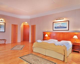 Belvedere Wellness Hotel - Mariánské Lázně - 5