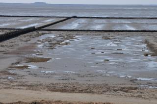 Op Lundingland - Ockholm - 3