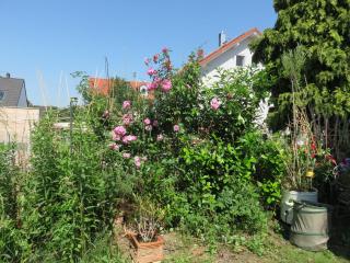 helles Dachstudio - 1