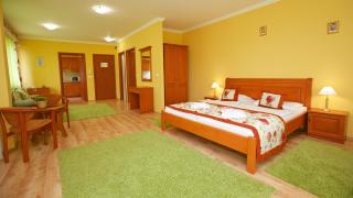 Hotel Járja - Hajdúszoboszló - 9