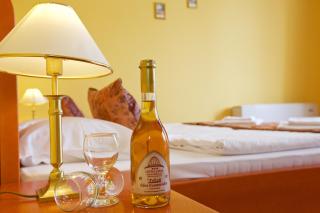 Hotel Járja - Hajdúszoboszló - 4