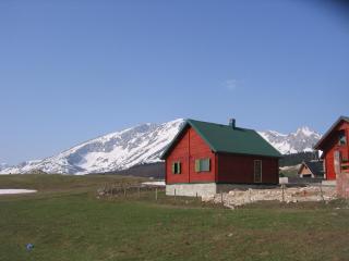 Boskovica Brvnare - Žabljak - 2