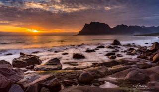 The traditional Burekka 17 - Lofoten - Stamsund - 9