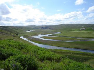 Dæli Apartments - 5