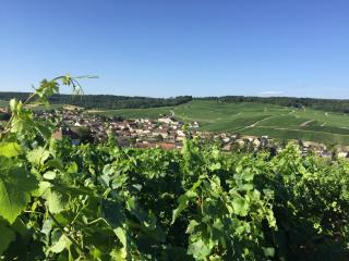 Mille et Une Bulles 51 - 5