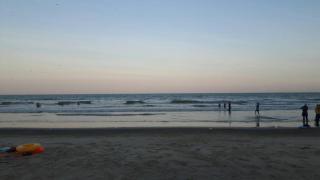 Studio Homestay SGarden Resort Residences - 1