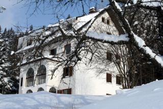 Villa Kostic Kopaonik - Kopaonik - 0