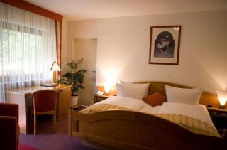 Landhotel Hochspessart - 1