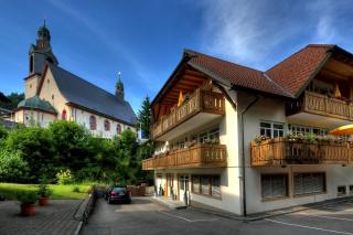 Hotel dasZimmermann - Todtmoos - 9