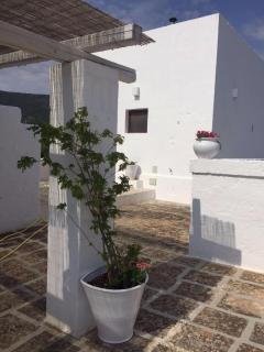 Masseria S.Oronzo - Monopoli - 6