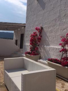 Masseria S.Oronzo - Monopoli - 7