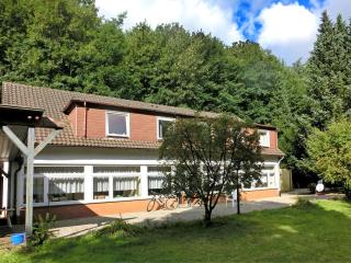 Holiday Home Löwensen near Weser Mountains - Löwensen - 1