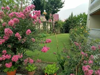 Snow Leopard Lodge - 6