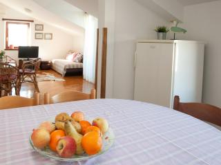 Apartment Magnolia - Petrcane - 1