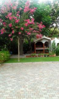 Apartment Magnolia - Petrcane - 7