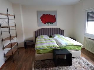 modern-comfort-inn 1 - Kreuzau - 6