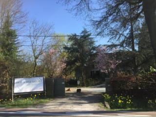 Heavenlywell - 2