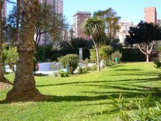 Alhambra - Fincas Arena - Benidorm - 8