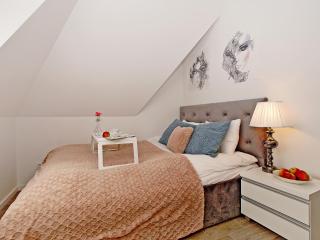 Apartament Kameralny 65 na Starówce - Danzig - 1