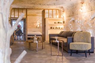 Amboise Troglodyte Villa - Pocé-sur-Cisse - 0