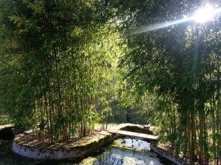 Moulin Lou Apmay - Saint-Cirgues - 4