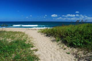 Admirals View III by KEES Vacations - Kill Devil Hills - 5