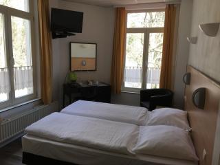 Parkhotel Villa des Effats Vielsalm - Vielsalm - 3