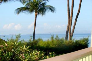 Kihei Kai Oceanfront Condos - Kihei - 2