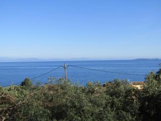 Barbati Beach Apartments - Barbati - 2